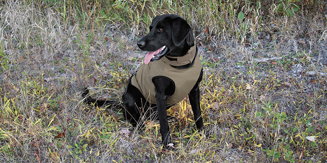 protective dog vest protective dog vest