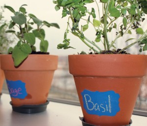This herbal pot was created using colored chalkboard paint, allowing plant labels to change with the plants.