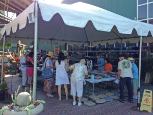 Attendees of Anawalt Lumber’s Tomato Festival taste the tomatoes and then grade them.
