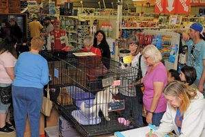 Keck Hardware and Hobby has been hosting Pet Adoption Days biannually for the past few years. Community members are always excited to come to the store and see animals looking for new homes.