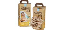 Small Mushroom Farm