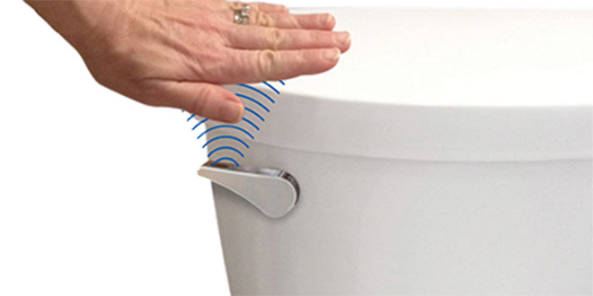 Sensor Toilet Flush System