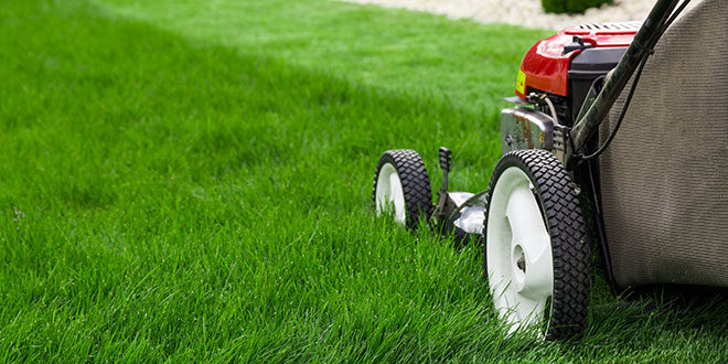 Category – Lawn & Garden Category – Lawn & Garden