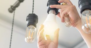 Person Changing a Light Bulb