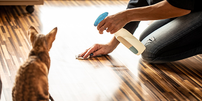 Pet-Friendly Cleaning Products