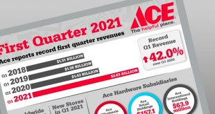 ace hardware revenues