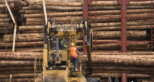 NAHB lumber production