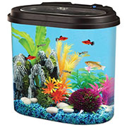 aquarium kit