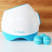 automatic fetch toy