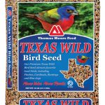 wild bird seed