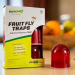 fruit fly traps