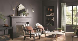 HGTV Home Color Collection