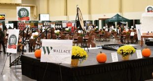 Wallace Fall Dealer Market