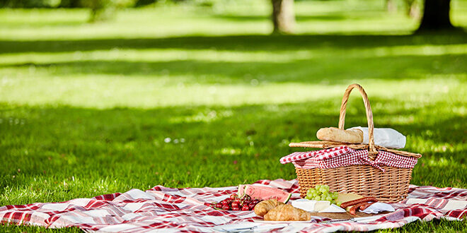 Crafting the Perfect Picnic | Hardware Retailing