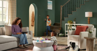Stainmaster Paint